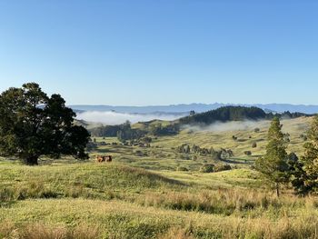 Scenic view of landscape against clear sky