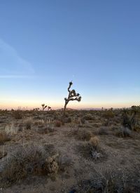 Scenic view of land against clear sky