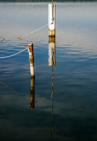 High angle view of wooden post in lake