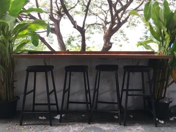 Chairs and table against trees