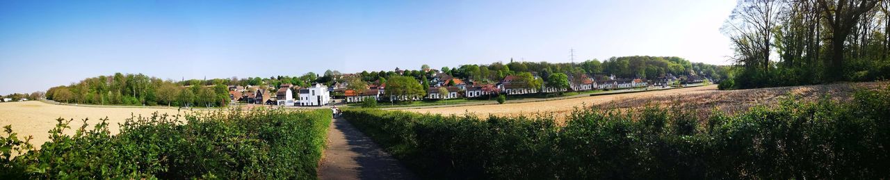 Panoramic shot of road amidst trees against sky