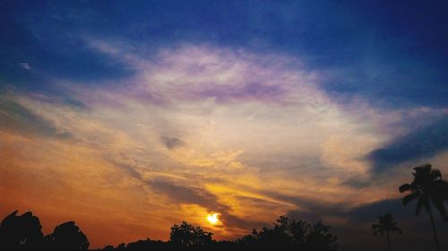 Low angle view of silhouette trees against sky at sunset