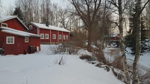 Houses and bare trees during winter