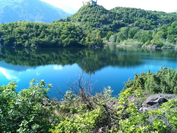 Scenic view of lake in forest