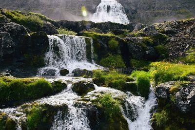 Scenic view of waterfall in forest