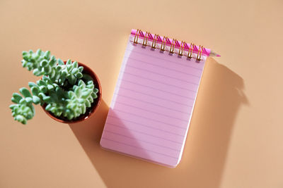 Succulent potted plant with note pad against orange color background