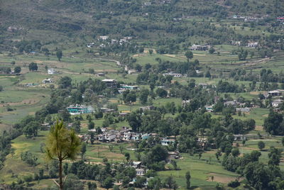 High angle view of trees and buildings on field