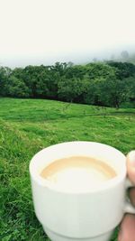 Close-up of coffee on field by trees against clear sky