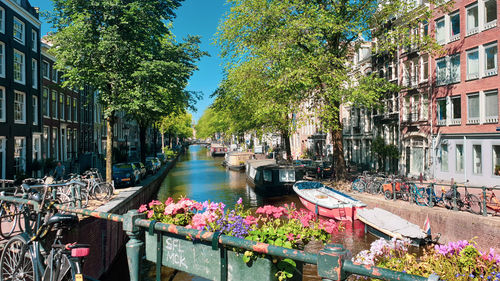 Canal amidst flowering plants and trees in city
