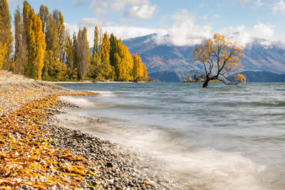 Scenic view of sea against sky during autumn