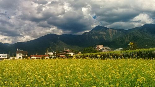Houses on field against cloudy sky