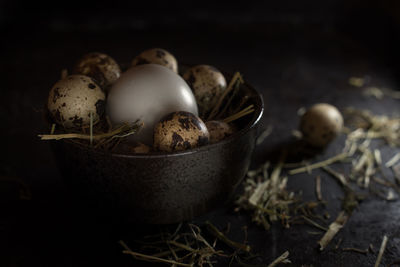 Close-up of eggs