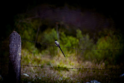 View of fence on landscape