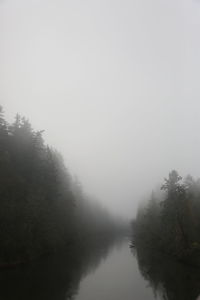 Scenic view of trees against sky during foggy weather