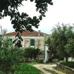 Abandoned house by tree against sky