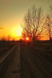 Dirt road along bare trees against sky during sunset