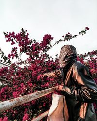Low angle view of flowering plants against clear sky