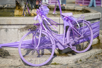 Close-up of bicycle on purple flower