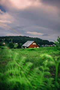 Scenic view of field by houses against sky