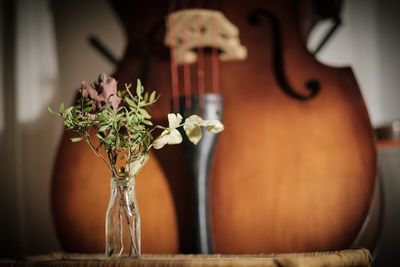 Close-up of vase on table