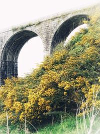 Arch bridge against trees and plants