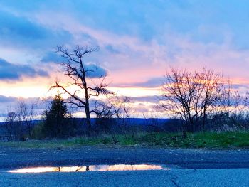 Bare trees on landscape against sky during sunset