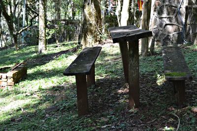 View of trees on grass