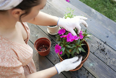 High angle view of woman holding flower pot on table