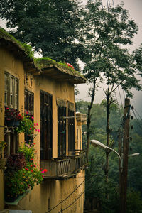 House and trees by plants against building