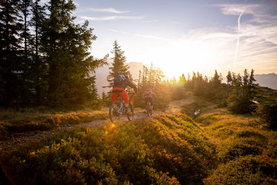 2 adults riding their mountain bikes in early morning light on footpath, lens flare, backlight