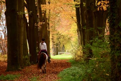  girl riding a pony in the forest.