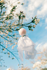 Close-up of white cherry blossom tree against sky