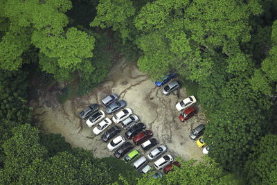 Rows of cars parking surrounded by forest trees.