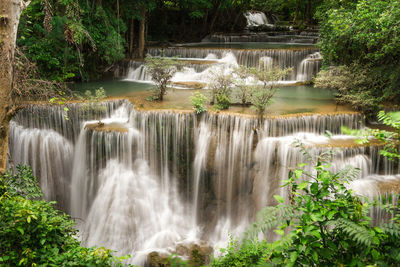 Scenic view of waterfall in forest