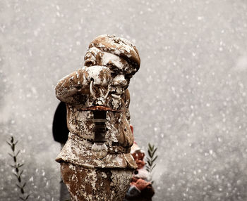 Close-up of statue in winter
