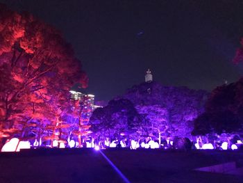 View of illuminated trees and buildings at night