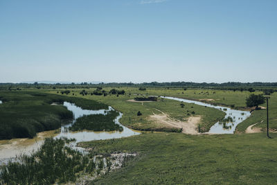 Scenic view of landscape against clear sky