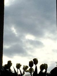 Low angle view of cloudy sky