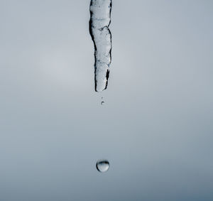 Close-up of frozen water