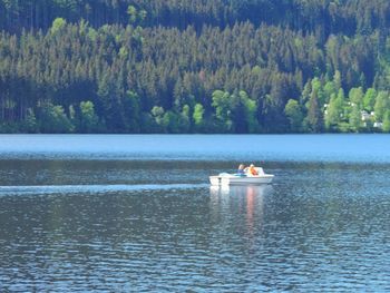 Scenic view of lake against trees in forest