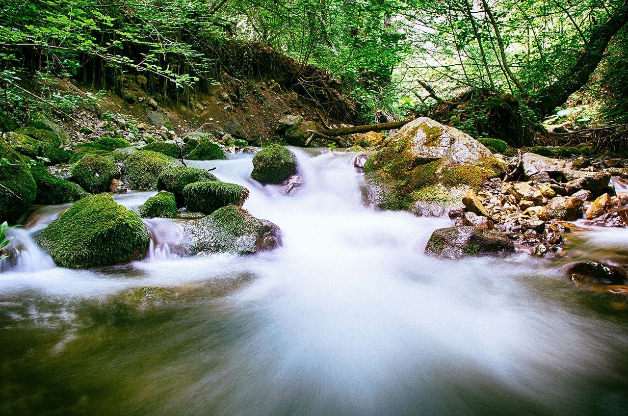 water, flowing water, tree, flowing, nature, beauty in nature, stream, forest, scenics, waterfall, rock - object, tranquility, motion, tranquil scene, river, growth, plant, green color, day, outdoors