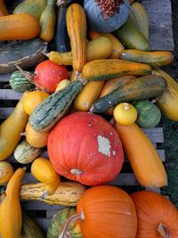 Close-up high angle view of vegetables