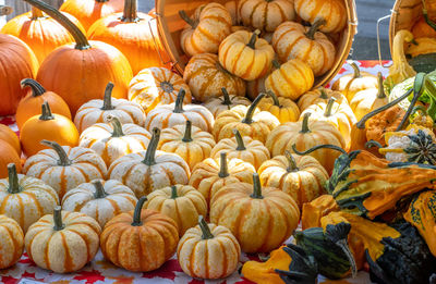 Gourds, tiny pumpkins, and  jack o lantern are arranged for sale at the farm market in michigan usa