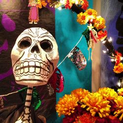 Low angle view of flowers