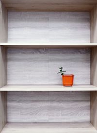 Potted plant in shelf