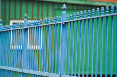 Blue fence against green house