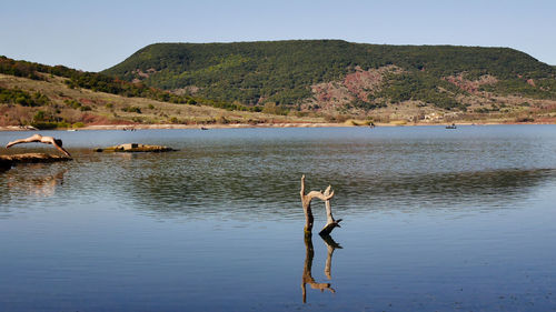 Scenic view of lake against clear sky