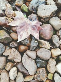 Pebbles on rocks