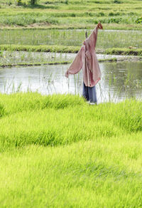 Rear view of man standing on field