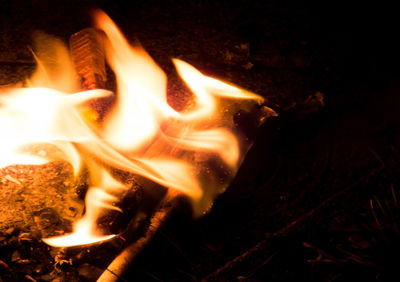 Close-up of bonfire